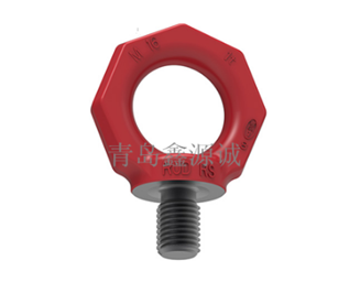 德國RUD  RS DIN580 吊環(huán)螺釘 進(jìn)口吊環(huán)