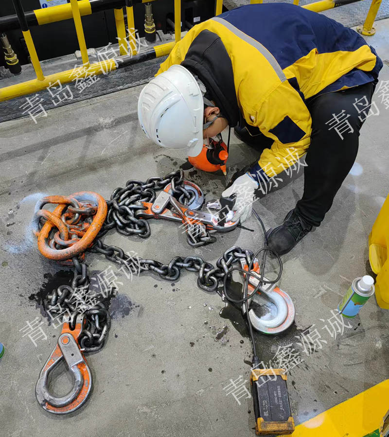 進口旋轉吊環檢測